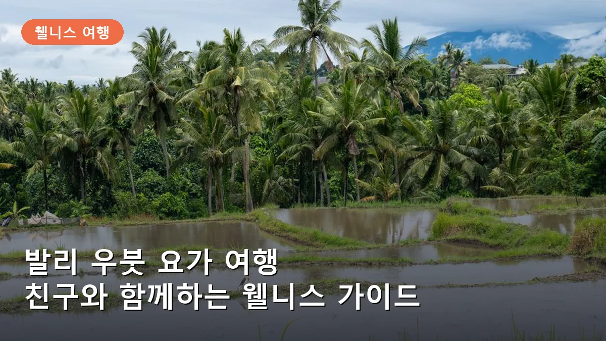 발리 우붓 요가 스튜디오 BEST 4: 친구와 함께 떠나는 웰니스 여행 가이드