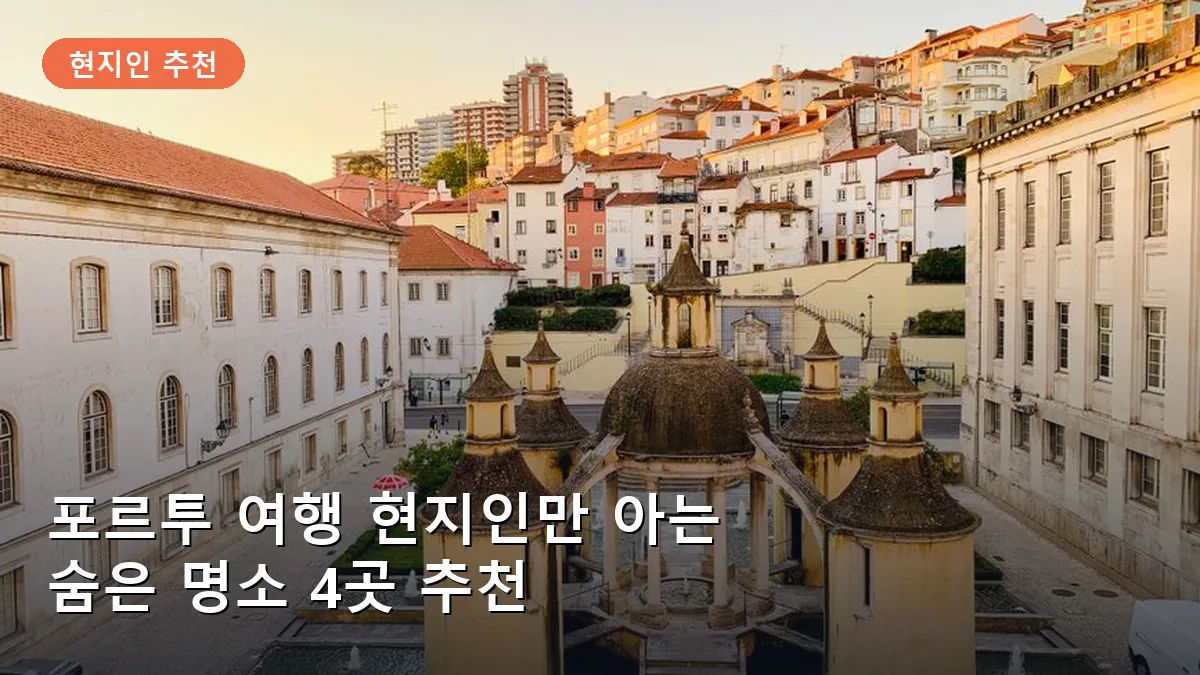 포르투 여행 현지인만 아는 숨은 명소 4곳: 관광객 인파 피하는 로컬 스팟