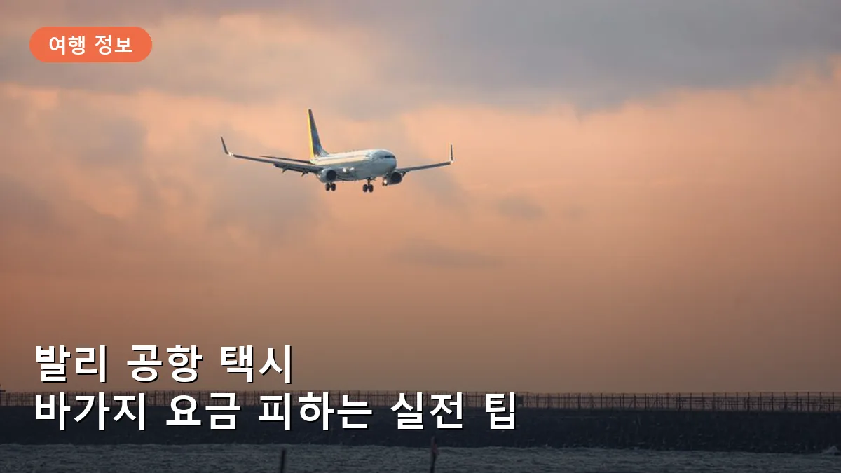 발리 공항 택시 바가지 탈출법: 블루버드 호출부터 현지 앱 결제까지