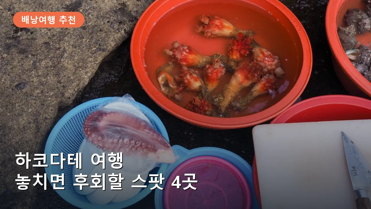 하코다테 여행 놓치면 아쉬운 필수 스팟 4곳: 배낭여행객 예산 절약 코스