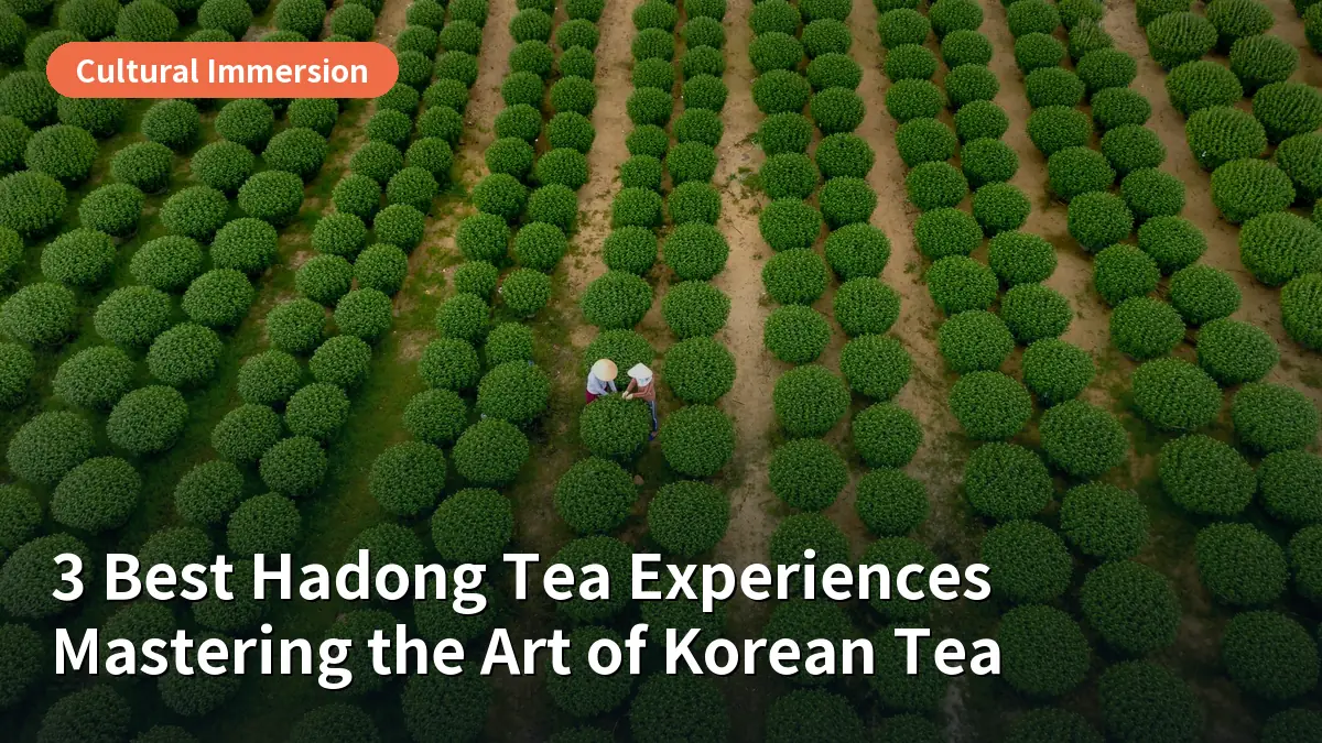 3 Best Hadong Tea Experiences: How to Master the Art of Traditional Korean Tea