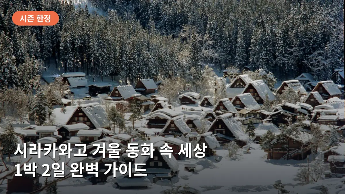 일본 시라카와고 겨울 여행, 눈 덮인 합장촌 야경과 1박 2일 필수 코스